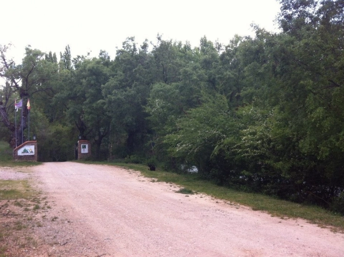 zobacz camping - zdjęcie 16