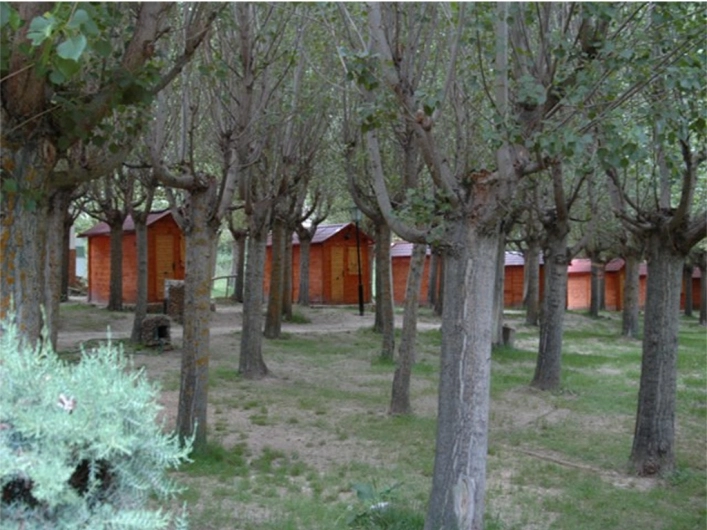 zobacz camping - zdjęcie 13