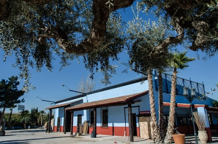 zobacz camping - zdjęcie 12