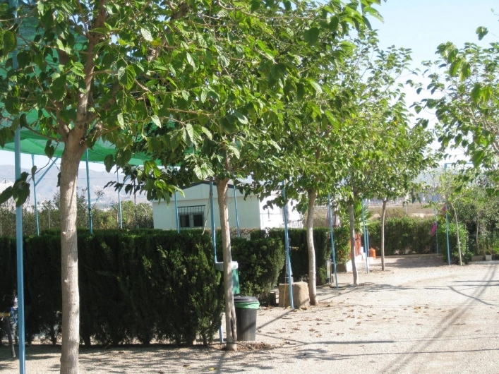 zobacz camping - zdjęcie 11