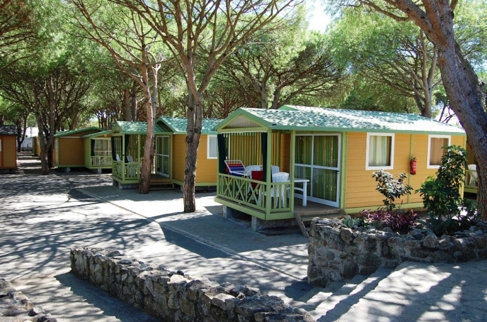 zobacz camping - zdjęcie 11