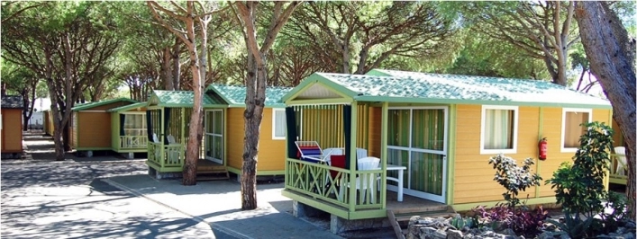 zobacz camping - zdjęcie 6