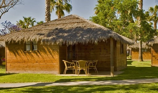 zobacz camping - zdjęcie 14