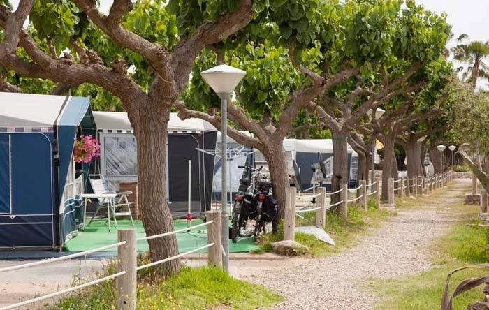 zobacz camping - zdjęcie 6