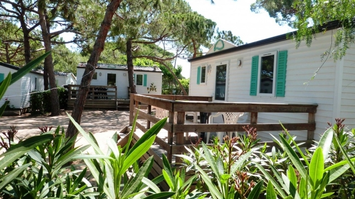 zobacz camping - zdjęcie 23