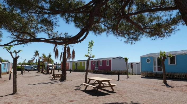 zobacz camping - zdjęcie 20