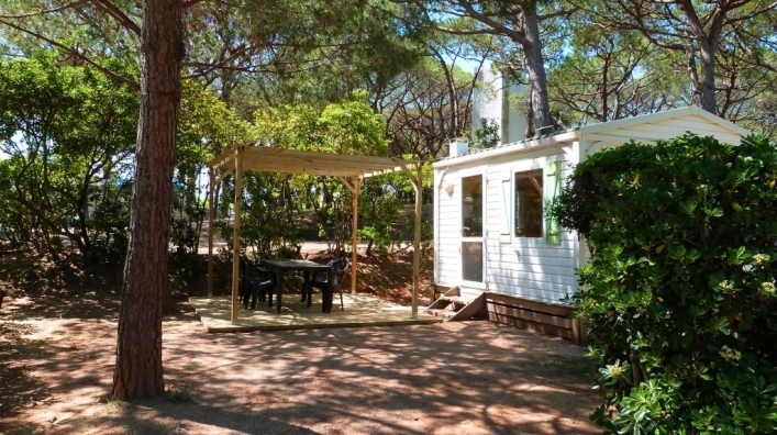 zobacz camping - zdjęcie 18