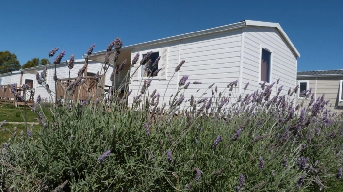 zobacz camping - zdjęcie 15