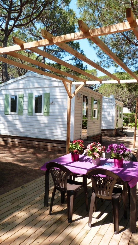 zobacz camping - zdjęcie 13