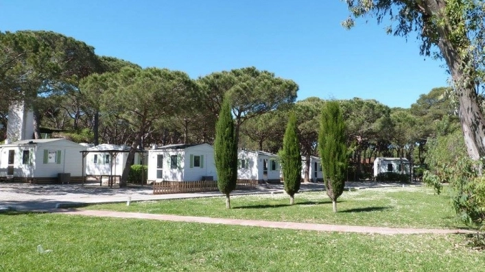 Camping 3 Estrellas - zdjęcie 4