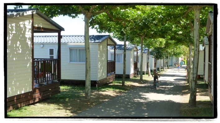 zobacz camping - zdjęcie 7