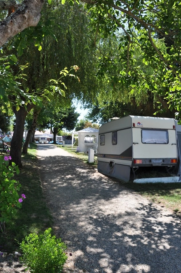 zobacz camping - zdjęcie 10