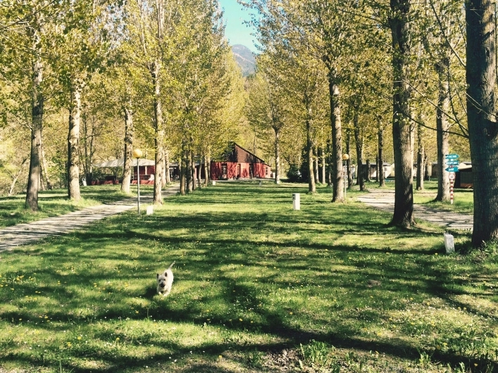 zobacz camping - zdjęcie 1