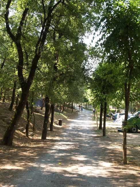 zobacz camping - zdjęcie 14