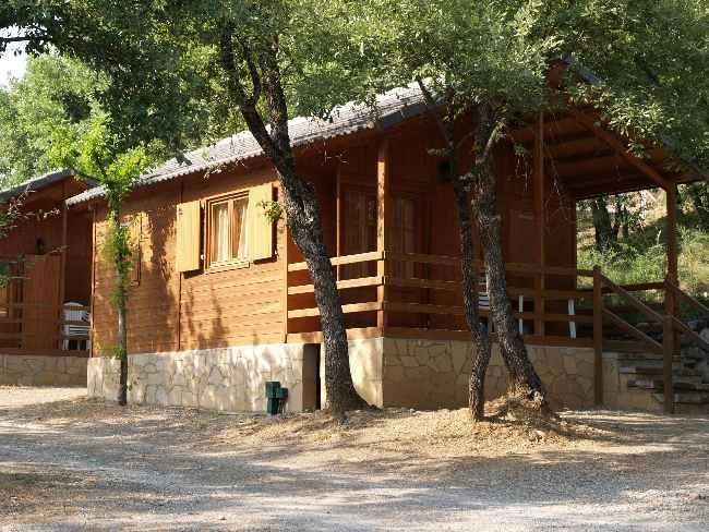 zobacz camping - zdjęcie 13