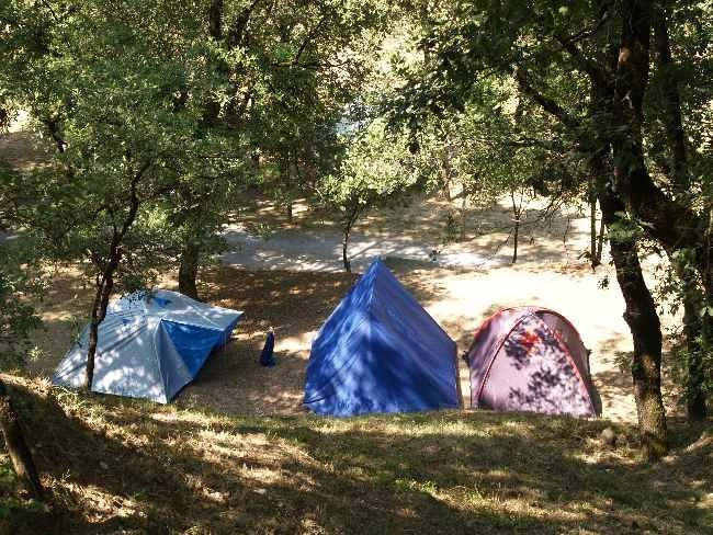 zobacz camping - zdjęcie 12