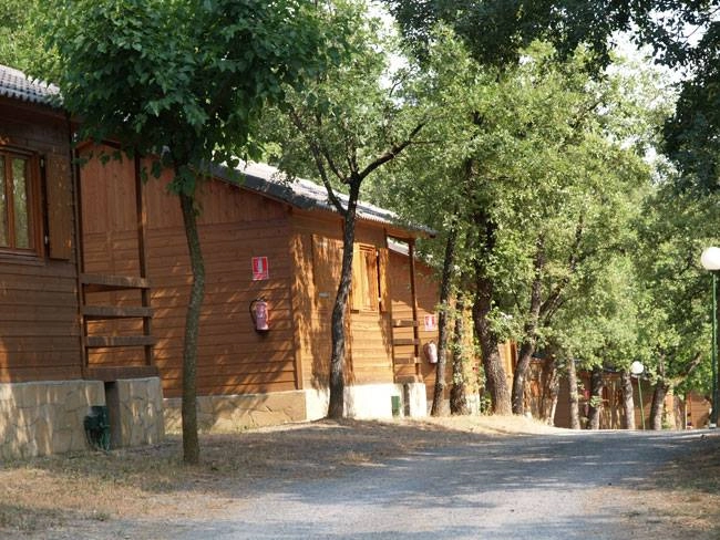 zobacz camping - zdjęcie 11