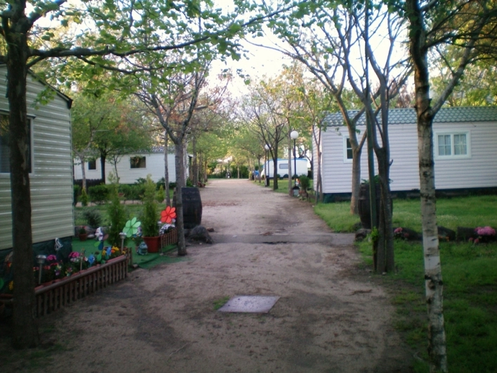 zobacz camping - zdjęcie 12