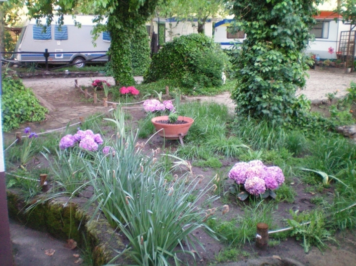 zobacz camping - zdjęcie 6