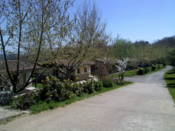 zobacz camping - zdjęcie 13