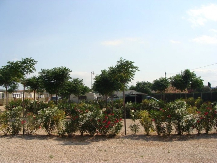 zobacz camping - zdjęcie 25