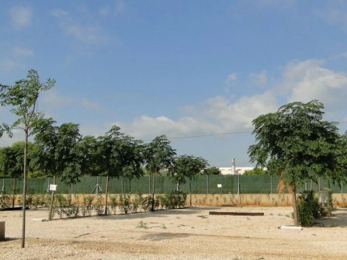 zobacz camping - zdjęcie 24