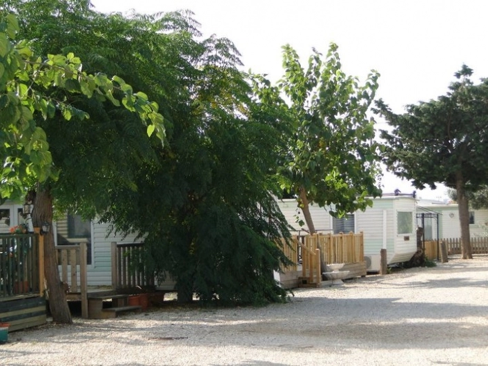 zobacz camping - zdjęcie 16