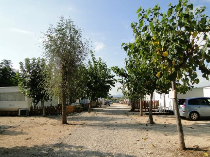 zobacz camping - zdjęcie 12