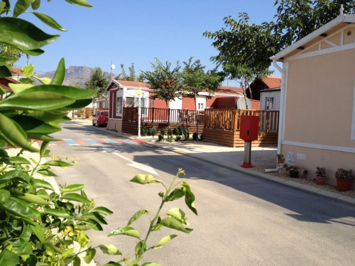 zobacz camping - zdjęcie 11