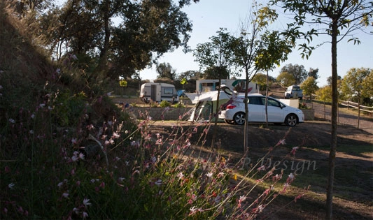 zobacz camping - zdjęcie 2