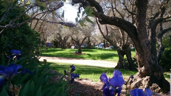 Camping Alquézar - zdjęcie 3