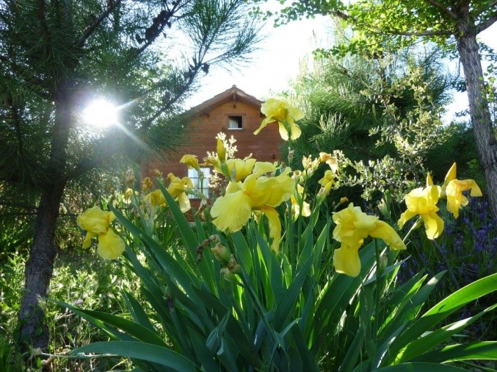 zobacz camping - zdjęcie 6