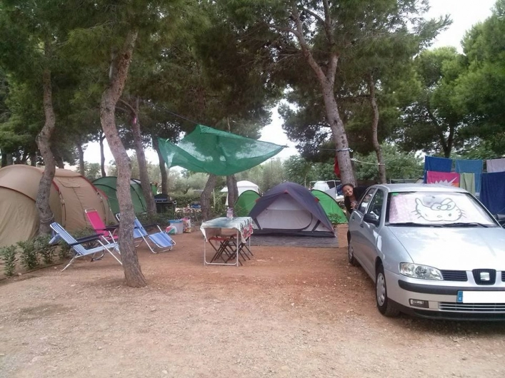 zobacz camping - zdjęcie 12