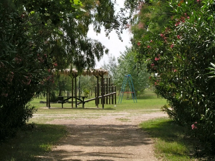 zobacz camping - zdjęcie 6