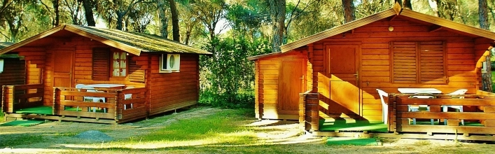 zobacz camping - zdjęcie 7