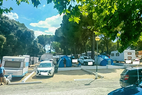 Camping Ardilla Roja