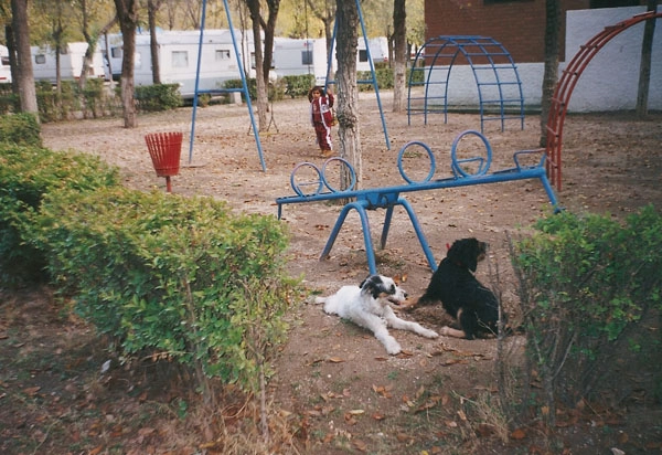 Camping Arganda - zdjęcie 1