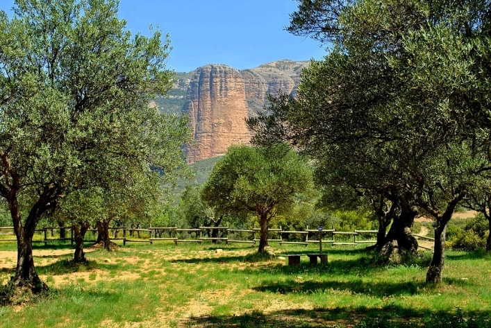 zobacz camping - zdjęcie 8