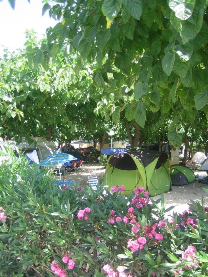 zobacz camping - zdjęcie 9