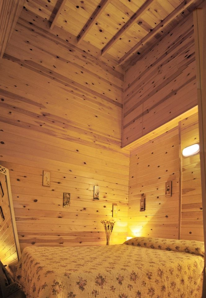 zobacz camping - zdjęcie 11