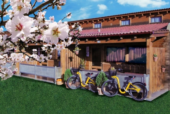 zobacz camping - zdjęcie 4