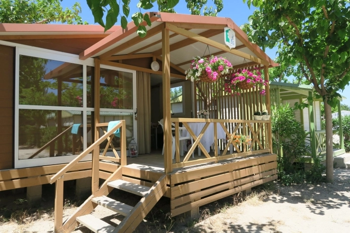 zobacz camping - zdjęcie 8