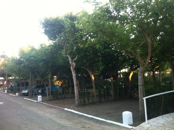 zobacz camping - zdjęcie 8