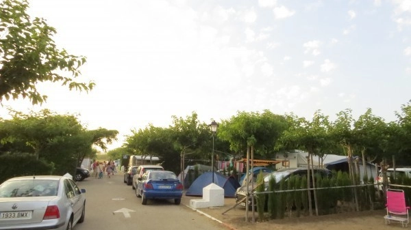 zobacz camping - zdjęcie 6