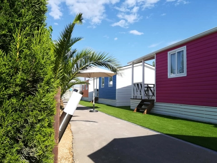 zobacz camping - zdjęcie 9