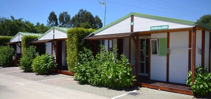 zobacz camping - zdjęcie 19