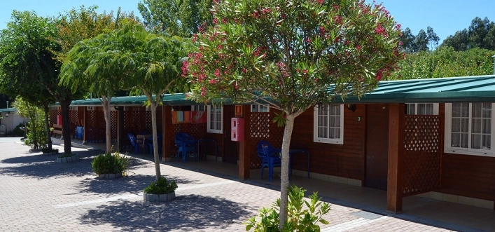 zobacz camping - zdjęcie 15