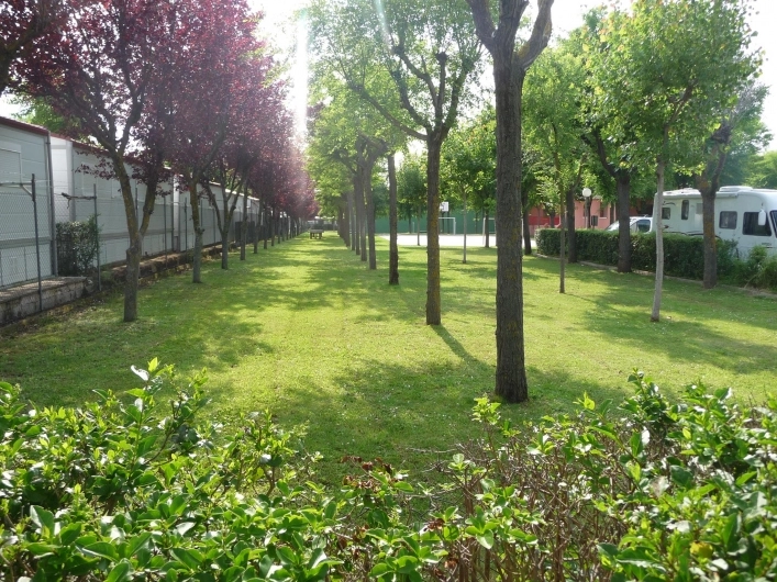 zobacz camping - zdjęcie 14