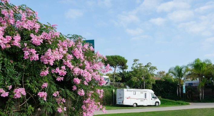 zobacz camping - zdjęcie 17