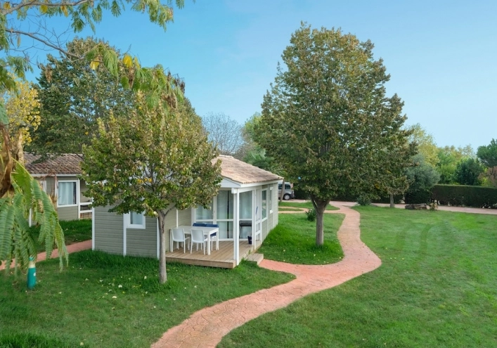 zobacz camping - zdjęcie 14